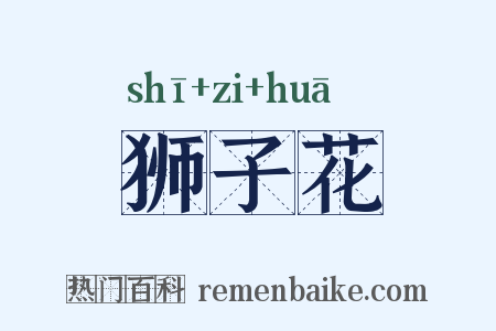 狮子花是什么意思的图片